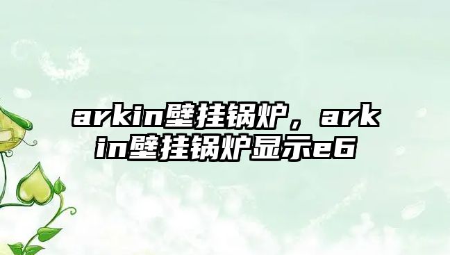 arkin壁掛鍋爐，arkin壁掛鍋爐顯示e6