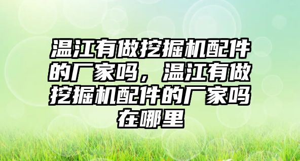 溫江有做挖掘機(jī)配件的廠家嗎，溫江有做挖掘機(jī)配件的廠家嗎在哪里