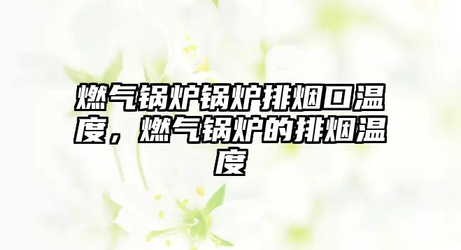 燃?xì)忮仩t鍋爐排煙口溫度，燃?xì)忮仩t的排煙溫度