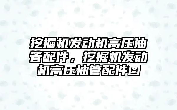 挖掘機發(fā)動機高壓油管配件，挖掘機發(fā)動機高壓油管配件圖