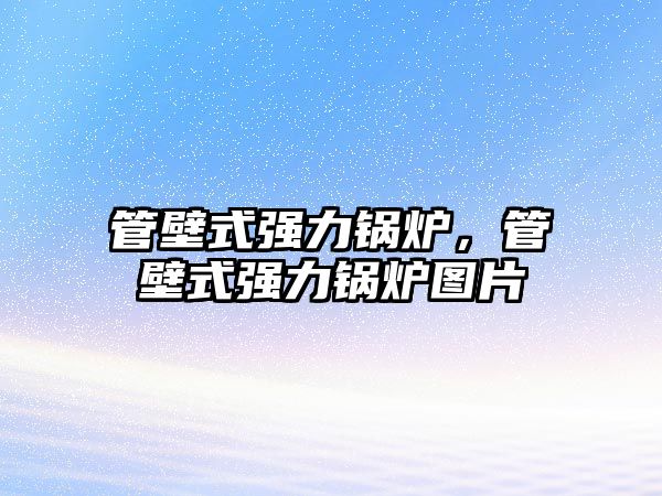 管壁式強(qiáng)力鍋爐，管壁式強(qiáng)力鍋爐圖片