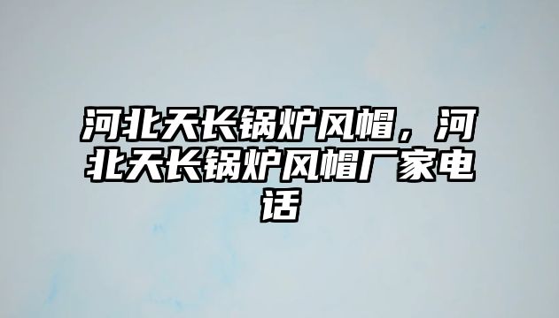 河北天長鍋爐風帽，河北天長鍋爐風帽廠家電話