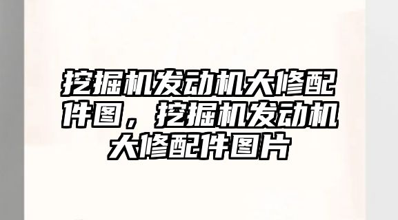 挖掘機發(fā)動機大修配件圖，挖掘機發(fā)動機大修配件圖片