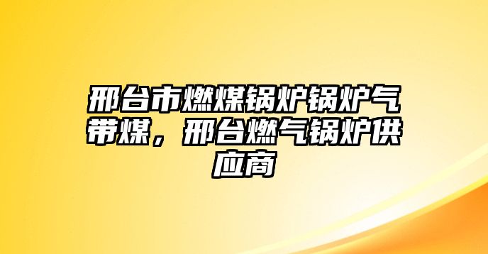 邢臺(tái)市燃煤鍋爐鍋爐氣帶煤，邢臺(tái)燃?xì)忮仩t供應(yīng)商