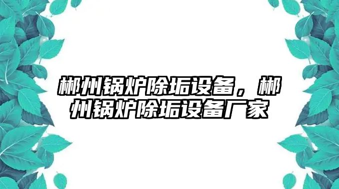 郴州鍋爐除垢設備，郴州鍋爐除垢設備廠家