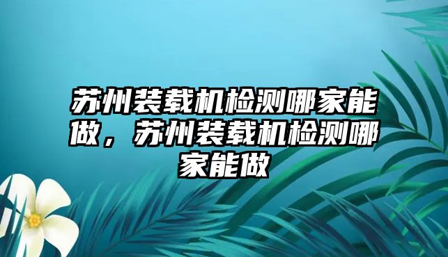 蘇州裝載機檢測哪家能做，蘇州裝載機檢測哪家能做