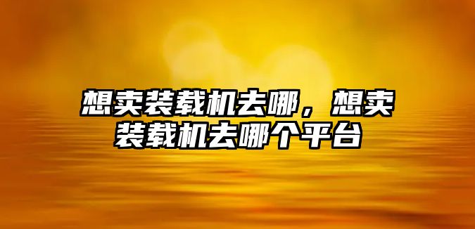 想賣裝載機(jī)去哪，想賣裝載機(jī)去哪個(gè)平臺(tái)