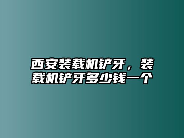 西安裝載機(jī)鏟牙，裝載機(jī)鏟牙多少錢一個(gè)