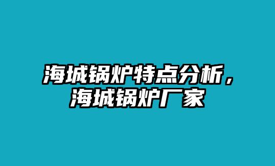 海城鍋爐特點分析，海城鍋爐廠家