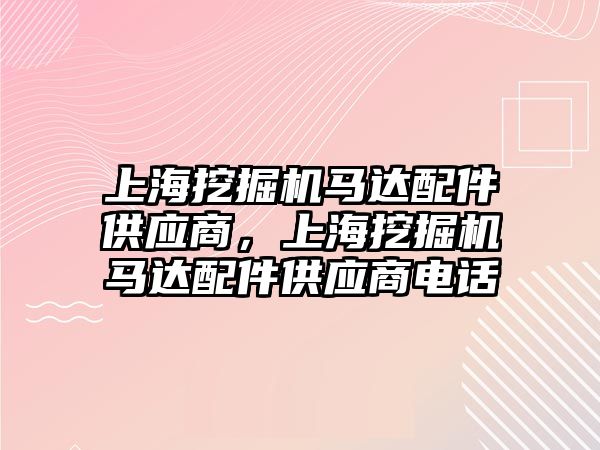 上海挖掘機馬達配件供應商，上海挖掘機馬達配件供應商電話