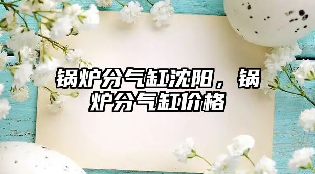 鍋爐分氣缸沈陽，鍋爐分氣缸價格