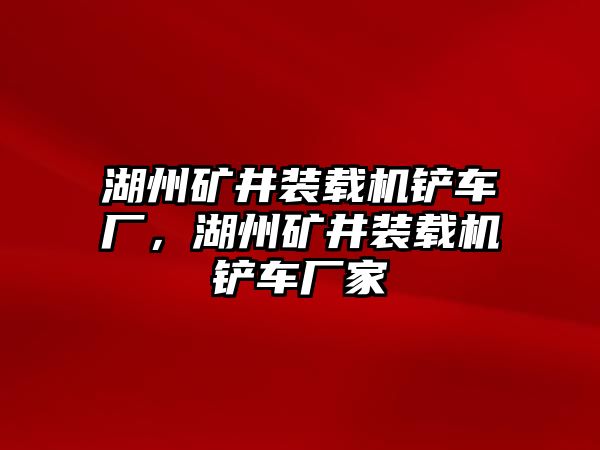 湖州礦井裝載機(jī)鏟車廠，湖州礦井裝載機(jī)鏟車廠家