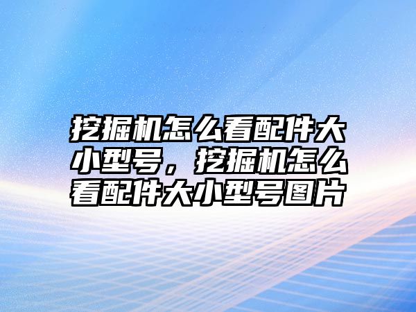 挖掘機怎么看配件大小型號，挖掘機怎么看配件大小型號圖片