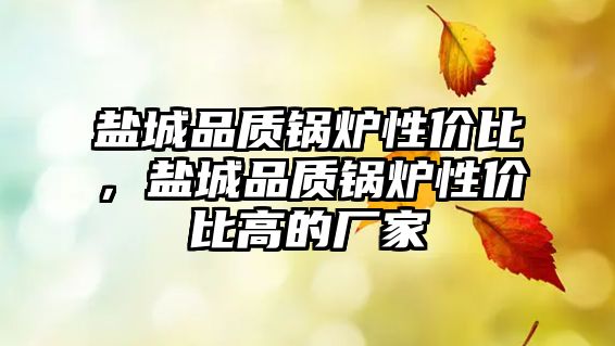 鹽城品質(zhì)鍋爐性價比，鹽城品質(zhì)鍋爐性價比高的廠家