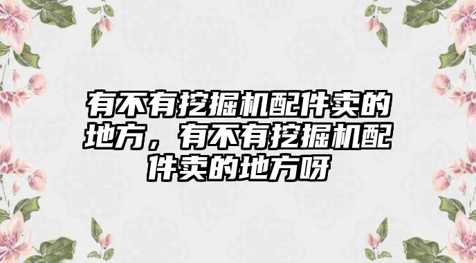 有不有挖掘機配件賣的地方，有不有挖掘機配件賣的地方呀