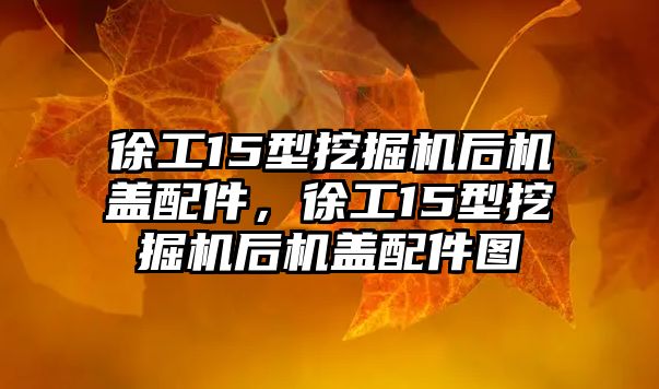 徐工15型挖掘機后機蓋配件，徐工15型挖掘機后機蓋配件圖