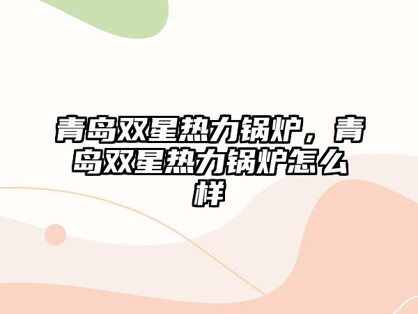 青島雙星熱力鍋爐，青島雙星熱力鍋爐怎么樣