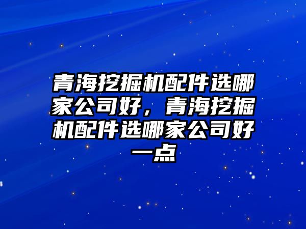 青海挖掘機配件選哪家公司好，青海挖掘機配件選哪家公司好一點