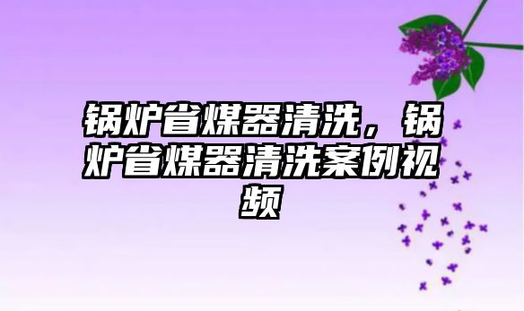 鍋爐省煤器清洗，鍋爐省煤器清洗案例視頻