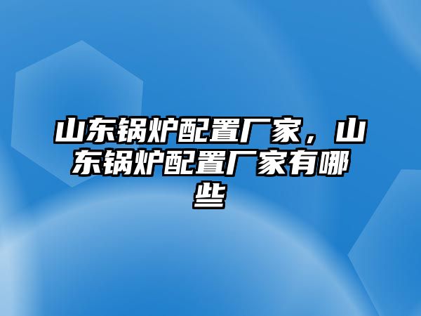 山東鍋爐配置廠家，山東鍋爐配置廠家有哪些