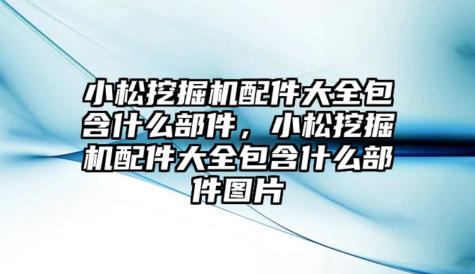 小松挖掘機(jī)配件大全包含什么部件，小松挖掘機(jī)配件大全包含什么部件圖片