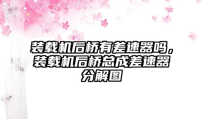 裝載機(jī)后橋有差速器嗎，裝載機(jī)后橋總成差速器分解圖