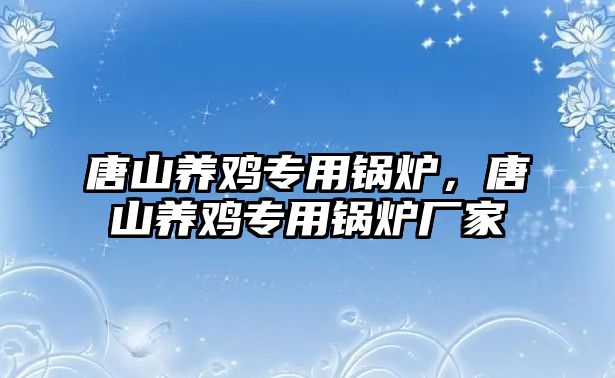 唐山養(yǎng)雞專用鍋爐，唐山養(yǎng)雞專用鍋爐廠家