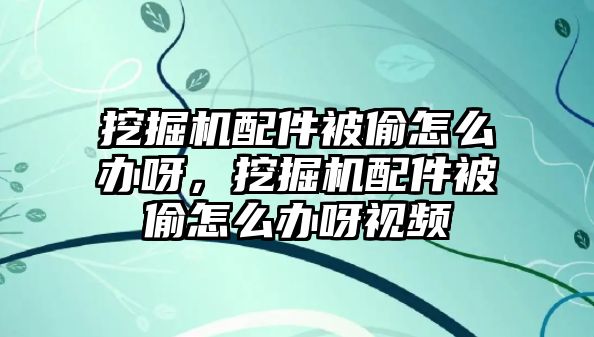 挖掘機(jī)配件被偷怎么辦呀，挖掘機(jī)配件被偷怎么辦呀視頻