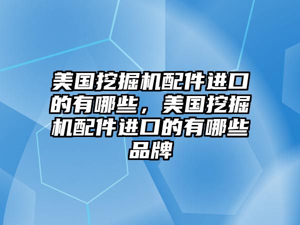 美國挖掘機配件進口的有哪些，美國挖掘機配件進口的有哪些品牌