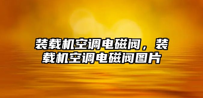 裝載機(jī)空調(diào)電磁閥，裝載機(jī)空調(diào)電磁閥圖片