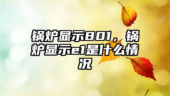 鍋爐顯示801，鍋爐顯示e1是什么情況