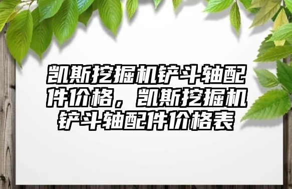 凱斯挖掘機鏟斗軸配件價格，凱斯挖掘機鏟斗軸配件價格表