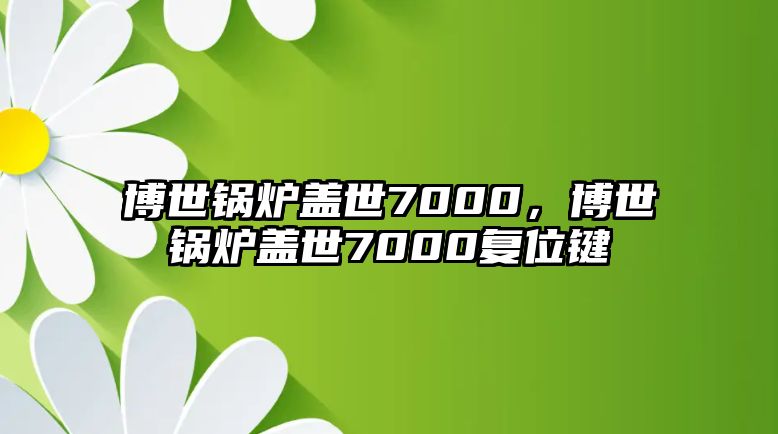 博世鍋爐蓋世7000，博世鍋爐蓋世7000復(fù)位鍵