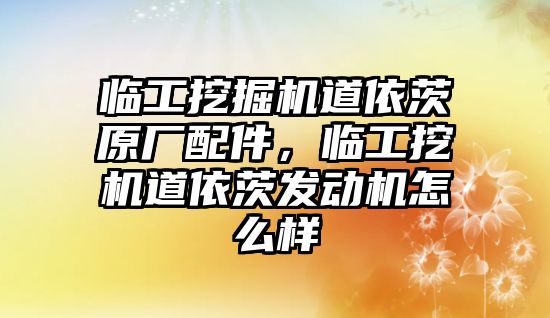 臨工挖掘機道依茨原廠配件，臨工挖機道依茨發(fā)動機怎么樣