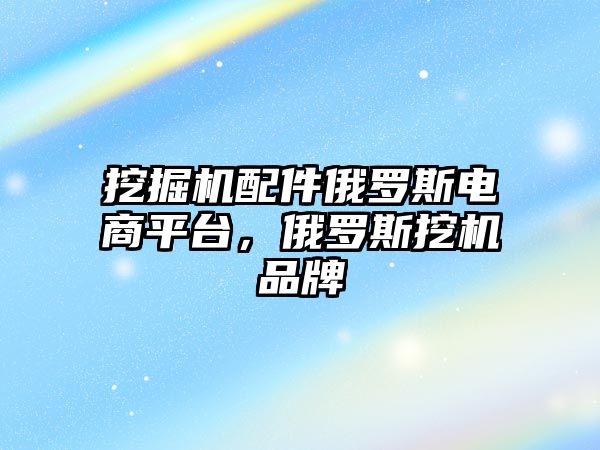 挖掘機配件俄羅斯電商平臺，俄羅斯挖機品牌