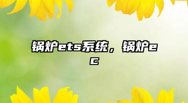 鍋爐ets系統(tǒng)，鍋爐ec