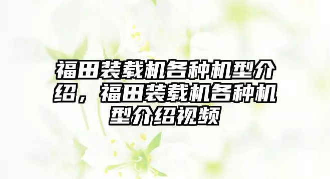 福田裝載機各種機型介紹，福田裝載機各種機型介紹視頻