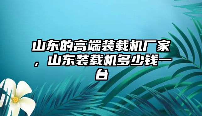 山東的高端裝載機廠家，山東裝載機多少錢一臺