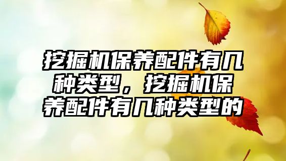 挖掘機保養(yǎng)配件有幾種類型，挖掘機保養(yǎng)配件有幾種類型的