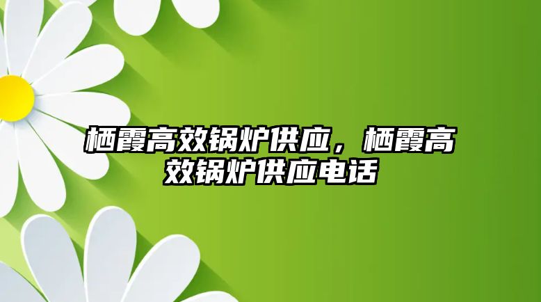 棲霞高效鍋爐供應(yīng)，棲霞高效鍋爐供應(yīng)電話