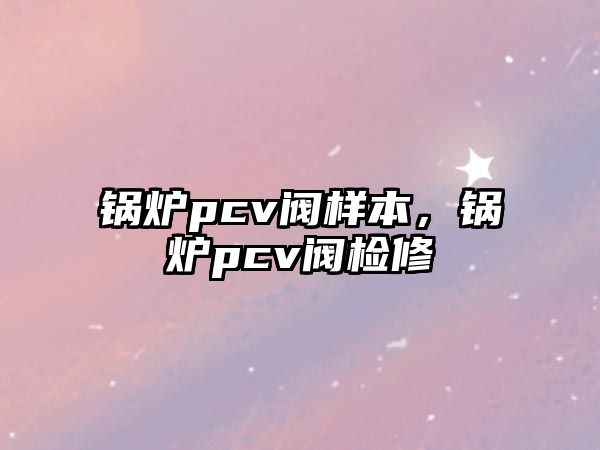 鍋爐pcv閥樣本，鍋爐pcv閥檢修