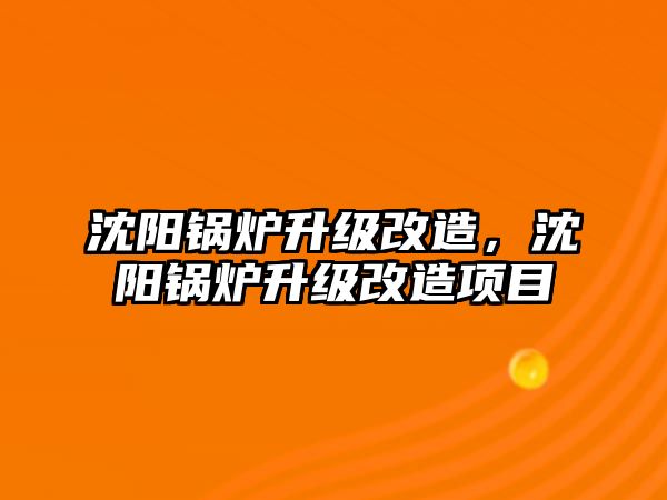 沈陽鍋爐升級改造，沈陽鍋爐升級改造項目