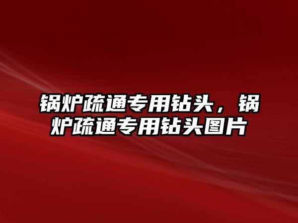 鍋爐疏通專用鉆頭，鍋爐疏通專用鉆頭圖片