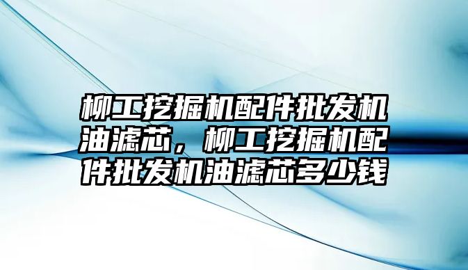 柳工挖掘機配件批發(fā)機油濾芯，柳工挖掘機配件批發(fā)機油濾芯多少錢