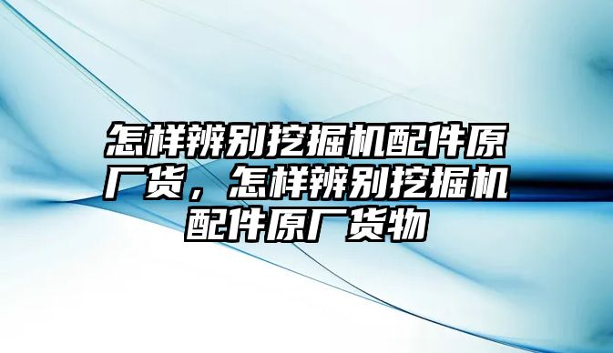 怎樣辨別挖掘機(jī)配件原廠貨，怎樣辨別挖掘機(jī)配件原廠貨物