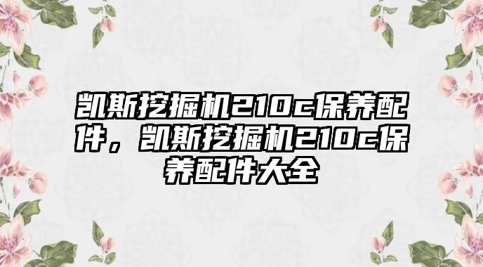 凱斯挖掘機210c保養(yǎng)配件，凱斯挖掘機210c保養(yǎng)配件大全