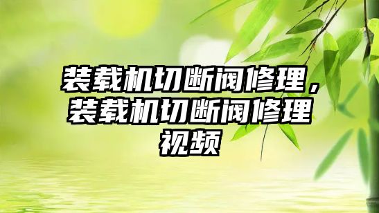 裝載機切斷閥修理，裝載機切斷閥修理視頻