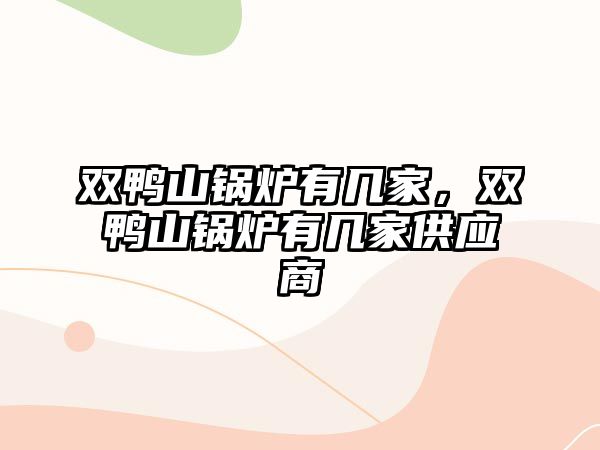 雙鴨山鍋爐有幾家，雙鴨山鍋爐有幾家供應(yīng)商