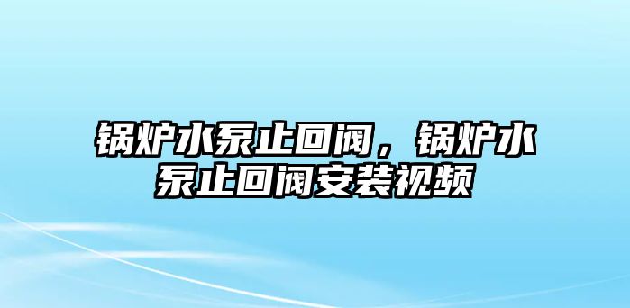 鍋爐水泵止回閥，鍋爐水泵止回閥安裝視頻