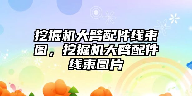 挖掘機大臂配件線束圖，挖掘機大臂配件線束圖片